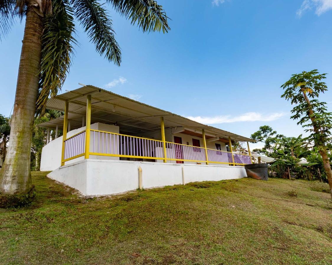 Rancho Chihuahua Filandia Exterior foto