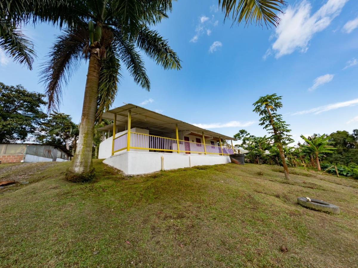 Rancho Chihuahua Filandia Exterior foto