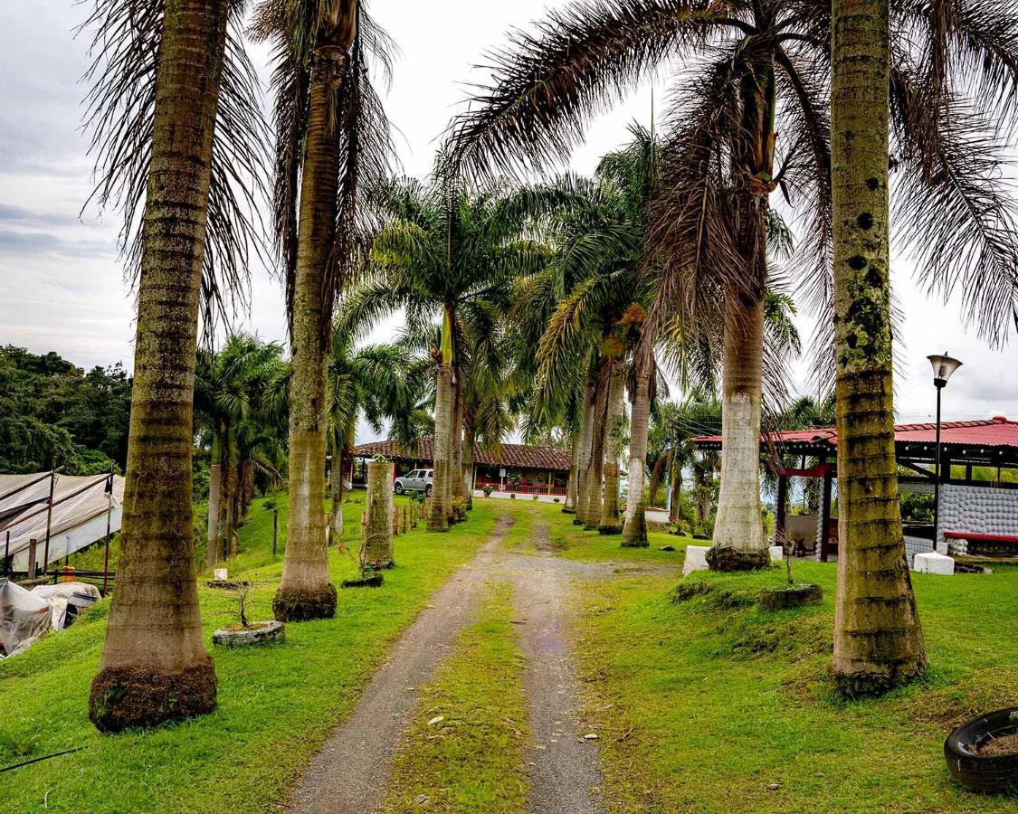 Rancho Chihuahua Filandia Exterior foto